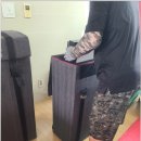 트랜스머리