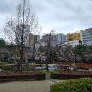 스시도시락화명점 | 부산 화명도서관 운영시간, 식당 및 방문후기(최신)