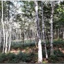 영천댐식당 이미지