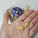 문*만 | 정월대보름 개기월식 36년 만의 블러드문 관측 후기