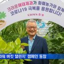 해태플라워