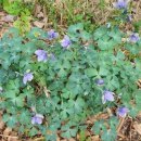 순명농장 이미지