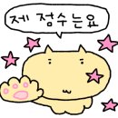 퍼스버거 | Red Rooster) / kfc, 버거, 로컬, 메뉴, 가격, 후기, 솔직, 가성비, 퍼스, 시드니, 멜버른, 맥도날드...