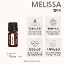 도테라더아로마하우스