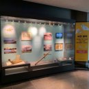 제주특별자치도 민속자연사박물관 이미지