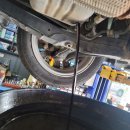 팀모터스 이미지