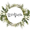 색연필로 그리는 꽃, 보태니컬 아트 이미지