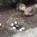 (주)영웅건설 이미지