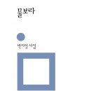 박지일 카카오 검색결과