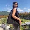 실라 | 미케네 가방 추천! 실라 나일론 쇼퍼 백 수납력 좋은 데일리백 추천템 후기