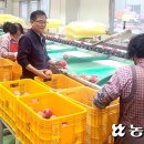 남청송농협 APC 이미지