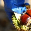 공주농장2 이미지