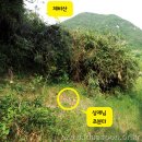 대순진리회
