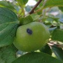 병건농장 이미지