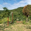 재인민박 이미지