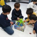 송정늘푸른태권도 이미지