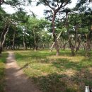 황성공원 풋살구장 이미지