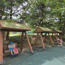 2026.07.05 중산체육공원 물놀이, 한국화훼농협 고양