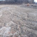 장고항1리 마을회관 이미지