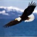 일산파크골프클럽 이미지