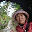 오산회 229회 천안 태조산(421.5m), 아름다운정원화수목 산책(2023.10.23, 월) 이미지