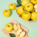 (주)더조은 이미지