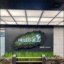 해광식당 | 우도 여행 첫날 코스 추천빌리고 렌터카, 해광식당, 피넛캬라멜하우스 후기