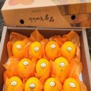 브리지팜 이미지