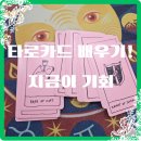 [상담]8/26(월)타로 마스터 이모경의 타로 1:1 상담 | 초보자 타로교육과 타로자격증 취득방법