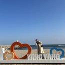 물치해수욕장 화장실 | 양양 오션뷰대형카페 Pei카페 물치해수욕장 내돈내산 후기