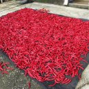 황골농장 이미지