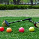 파크(PARK)스크린골프 이미지