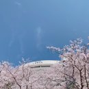 울산해상관광레저