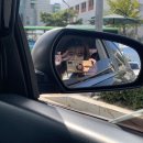 양아목장 이미지