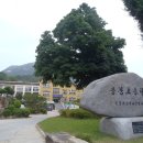 용봉초등학교 이미지