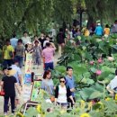 연지상점가 이미지