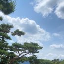 더그린 행정사 사무소 이미지