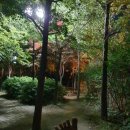 [야간]단전호흡 이미지