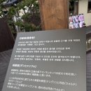 별미여의 | [경북 경주] 경주 황리단길 맛집리스트에 추가된 단향회에서 먹어본 후기😋