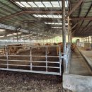 김산농장 이미지