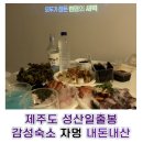 자멍 | [제주도 성산일출봉 숙소 추천] 내돈내산 자멍 솔직 후기｜프로젝터있는 감성숙소