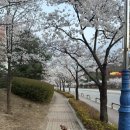 헬로무럭이