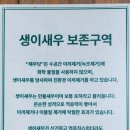 제주 이시돌목장 테시폰식 주택 | [제주 애월] 연못이 멋스런 제주당베이커리 .제주맛 빵이 한가득. 이시돌목장 테시폰식 주택