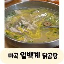 마곡 일백계 닭곰탕 점심 내돈내산