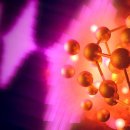 the Fitness LAB 이미지