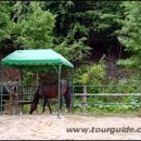 경기목장 이미지