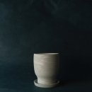 스프라우트(sprout)