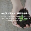 국토지원단 이미지