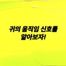 우리집강아지 - 용산구 보광로 9 | 우리집강아지