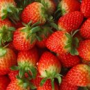 자담농장 이미지